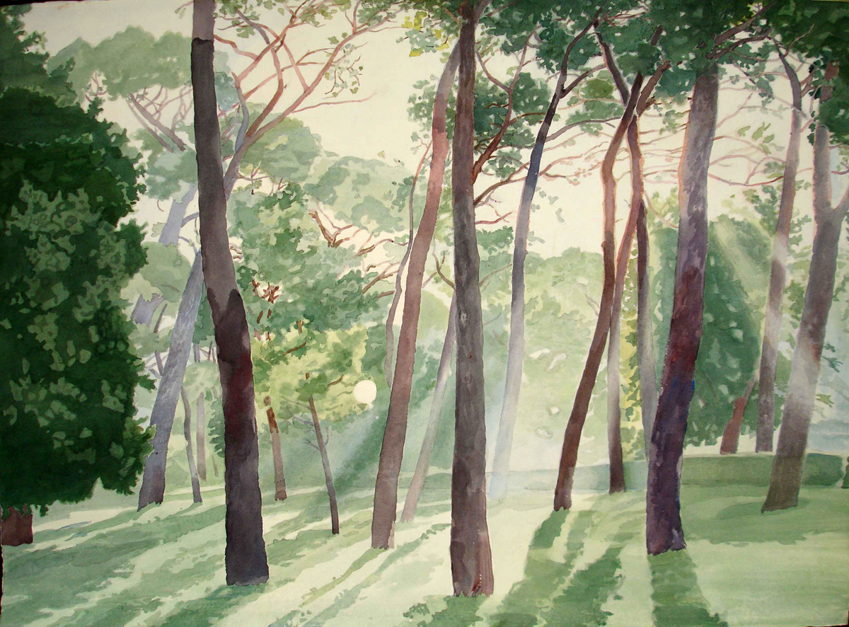 early morning in a park